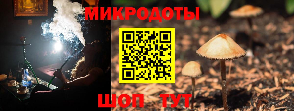купить закладку  Вход с VPN  Черняховск  Галлюциногенные грибы прущие грибы 